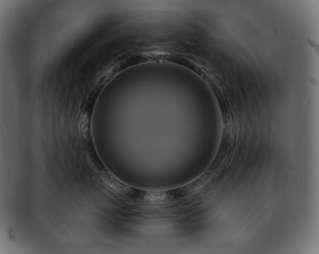X0000093240767200710031602
