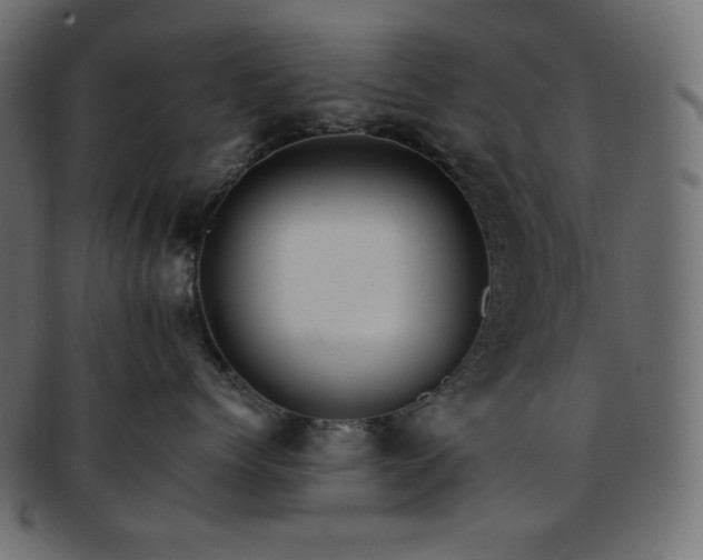 X0000093240768200710031602