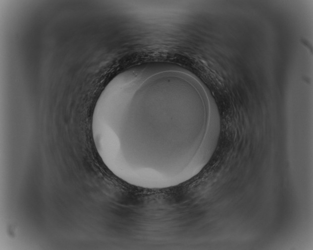 X0000093240769200710031601