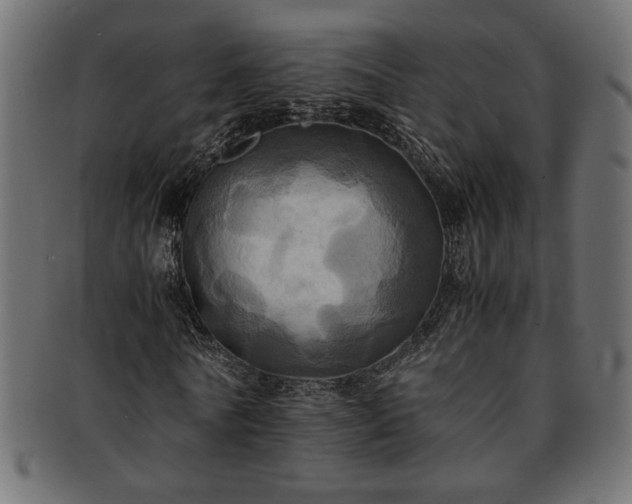 X0000093240770200710031601