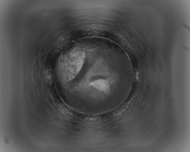 X0000093240771200710031601