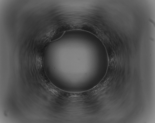 X0000093240772200710031601