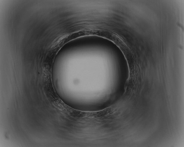 X0000093240773200710031601