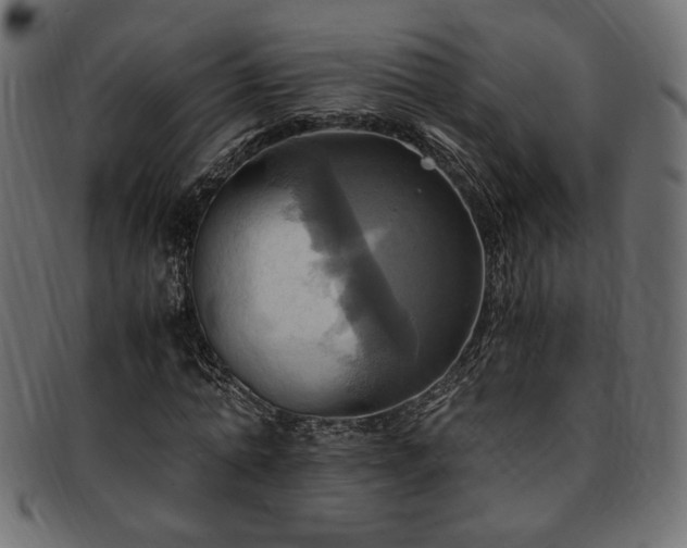 X0000093240774200710031601
