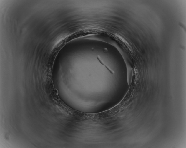 X0000093240775200710031601