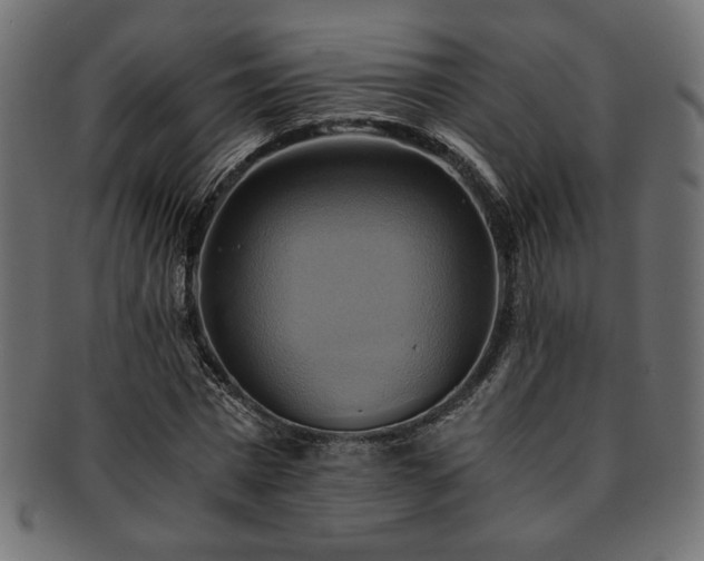 X0000093240777200710031601