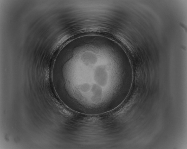 X0000093240778200710031601
