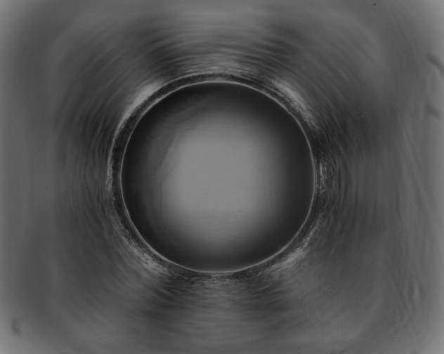X0000093240780200710031601