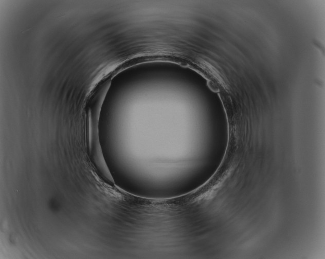 X0000093240781200710031601