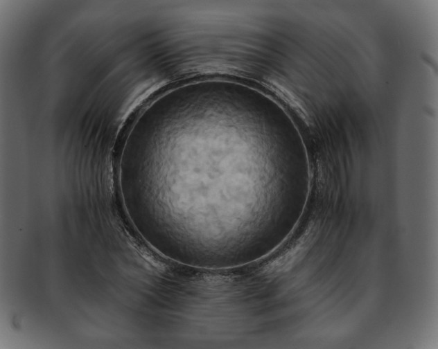 X0000093240782200710031601
