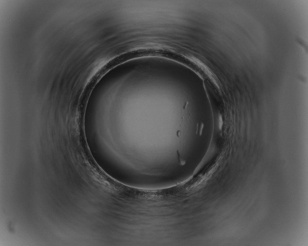 X0000093240783200710031601