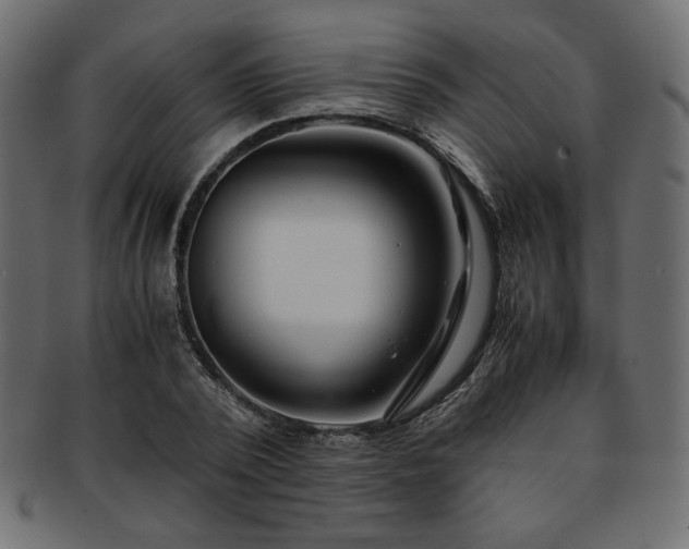 X0000093240784200710031601