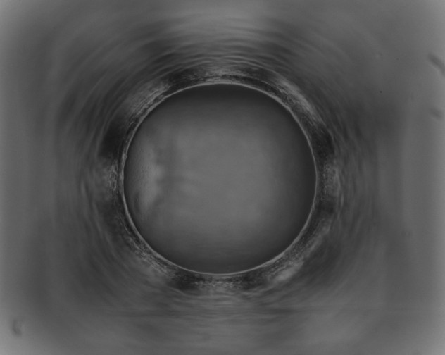 X0000093240785200710031601