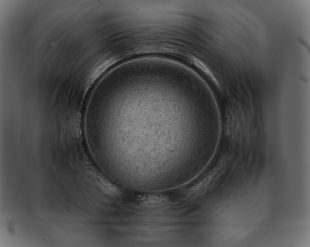 X0000093240786200710031601