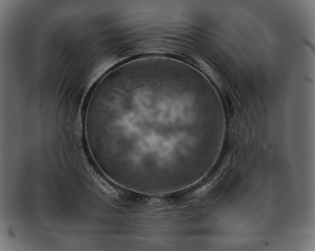 X0000093240787200710031601