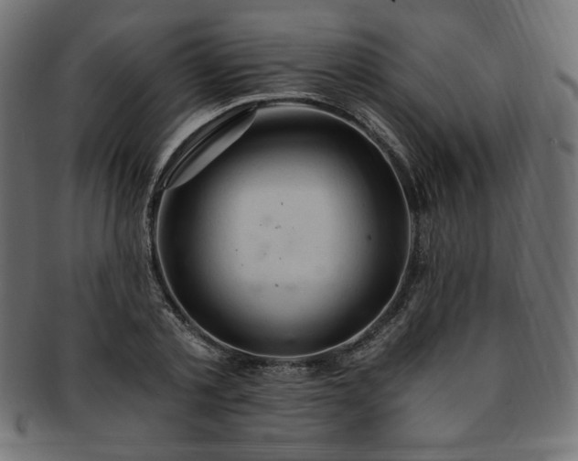 X0000093240789200710031601