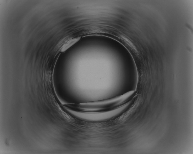 X0000093240793200710031601