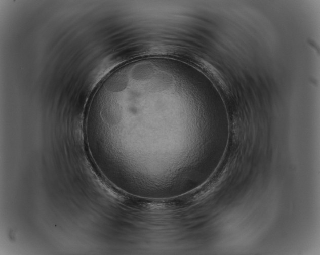 X0000093240794200710031601