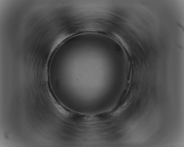 X0000093240795200710031601