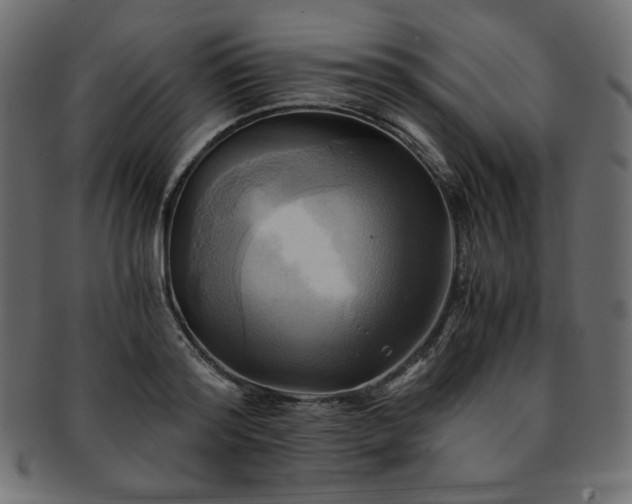 X0000093240796200710031601