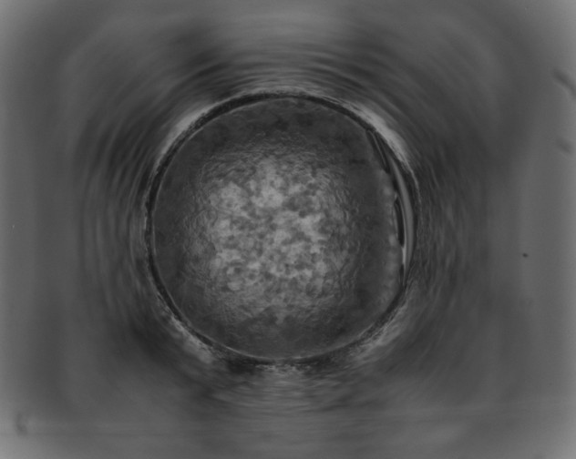 X0000093240799200710031601