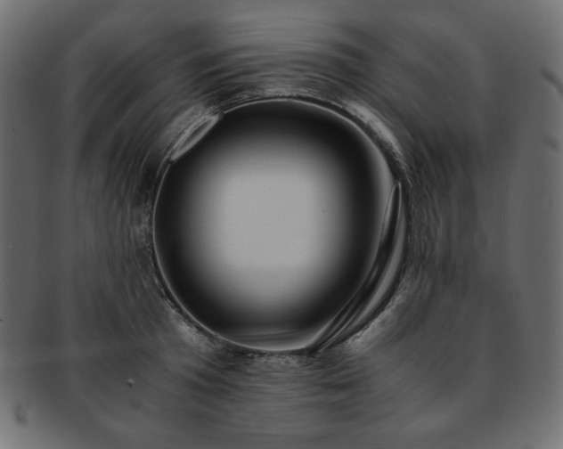 X0000093240801200710031601