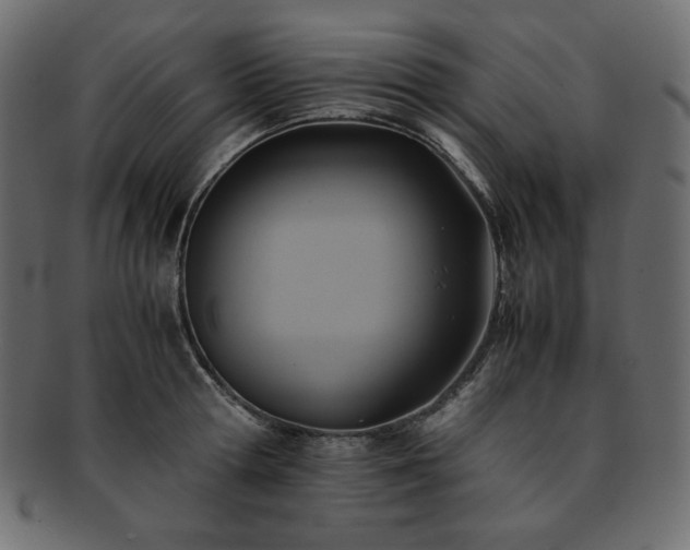 X0000093240802200710031601