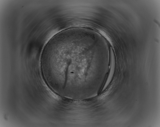 X0000093240803200710031601