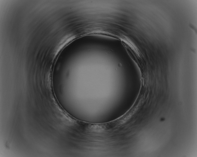 X0000093240806200710031601