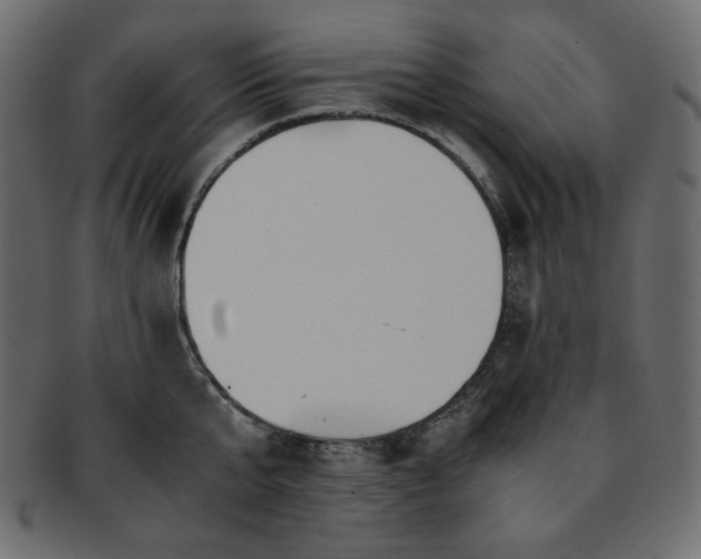 X0000093240807200710031601