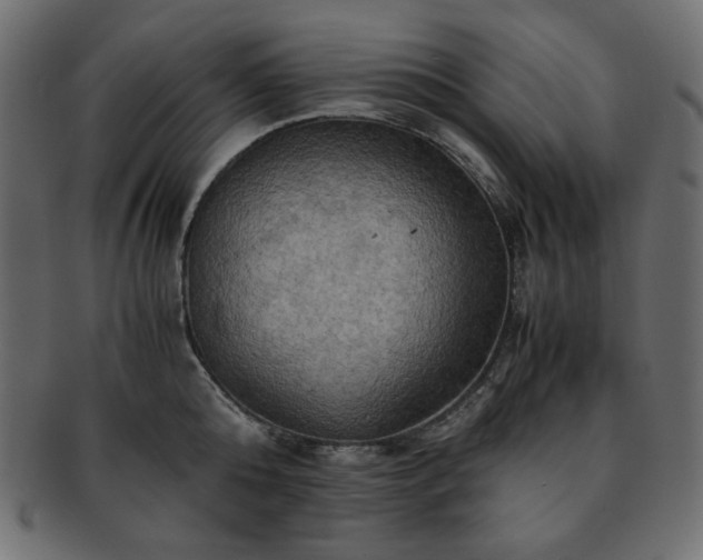 X0000093240808200710031601