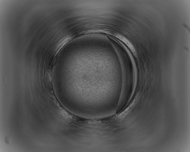 X0000093240809200710031601