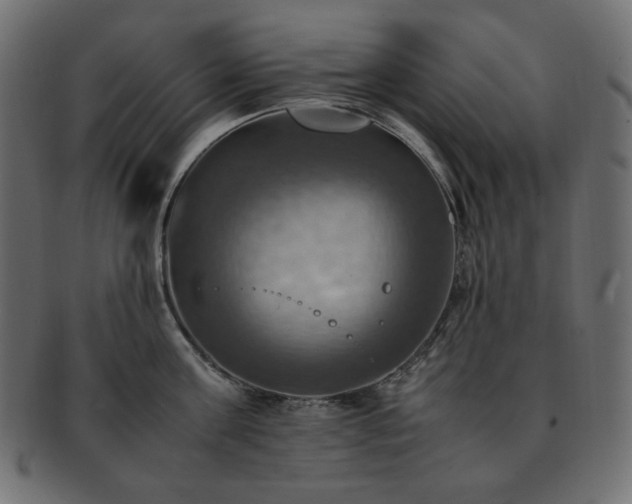 X0000093240811200710031601