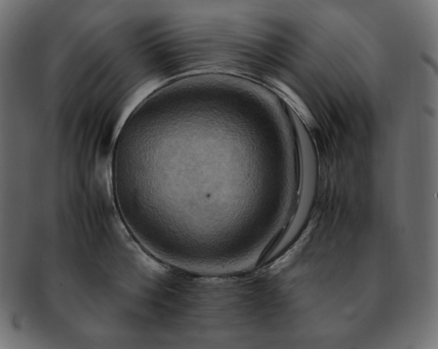X0000093240812200710031601