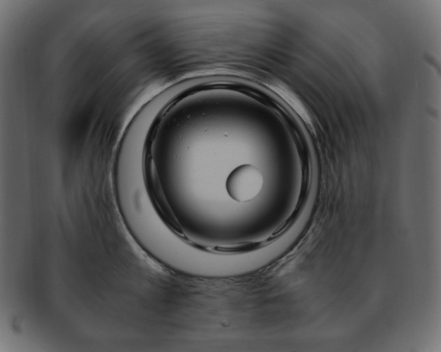 X0000093240813200710031601