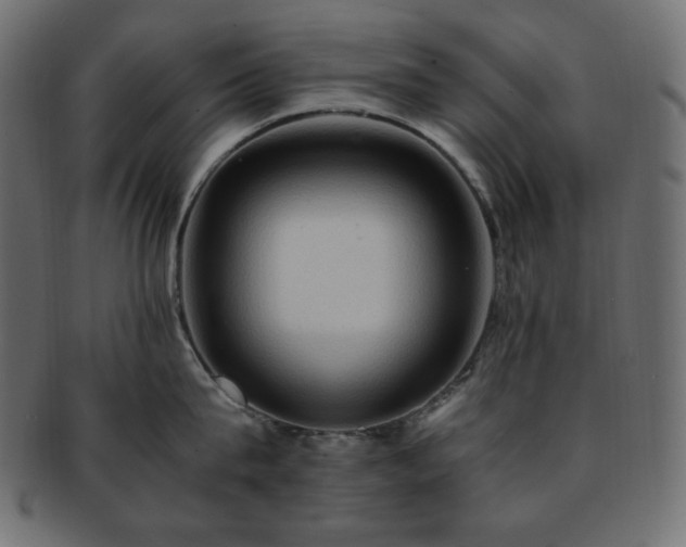 X0000093240815200710031601