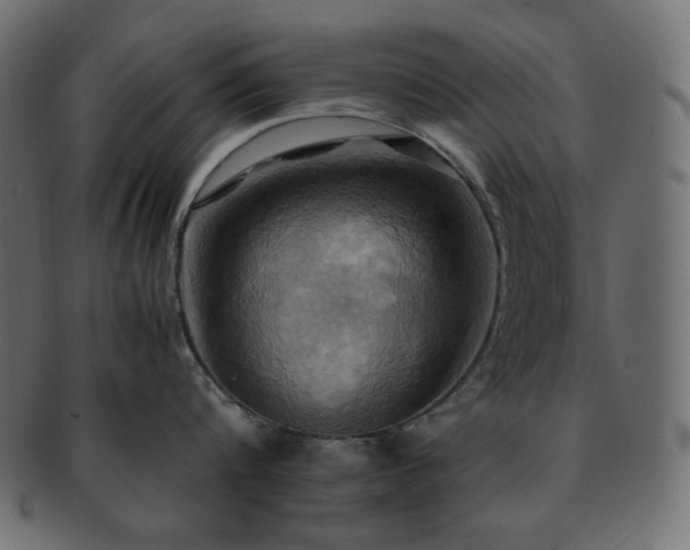X0000093240816200710031601