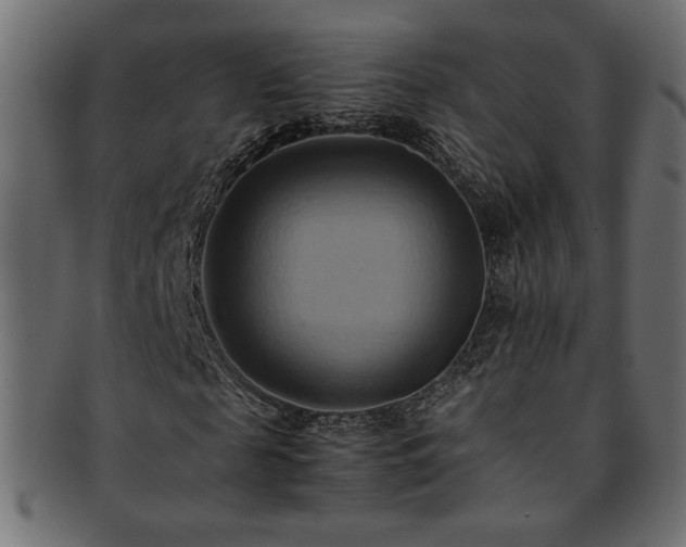 X0000093240817200710031600