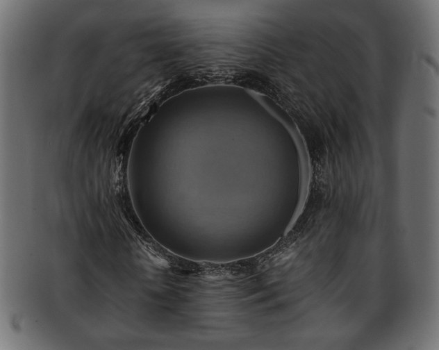 X0000093240818200710031600