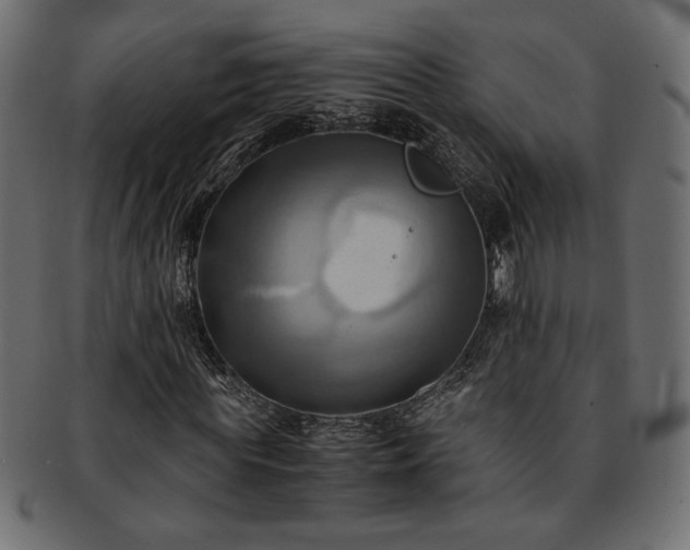 X0000093240819200710031600