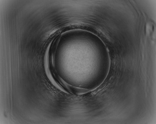 X0000093240822200710031600
