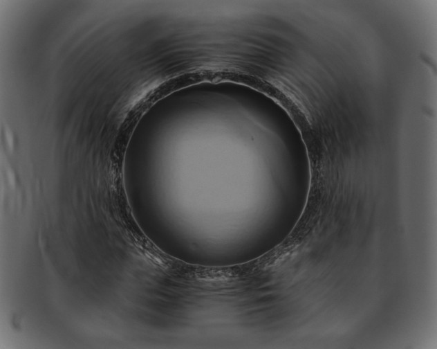 X0000093240823200710031600