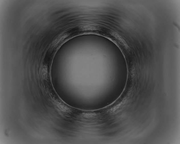 X0000093240825200710031600
