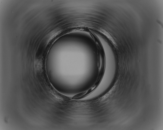 X0000093240826200710031600