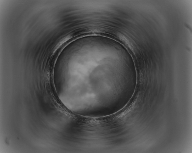 X0000093240827200710031600
