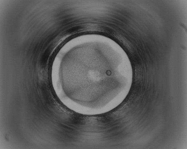 X0000093240828200710031600