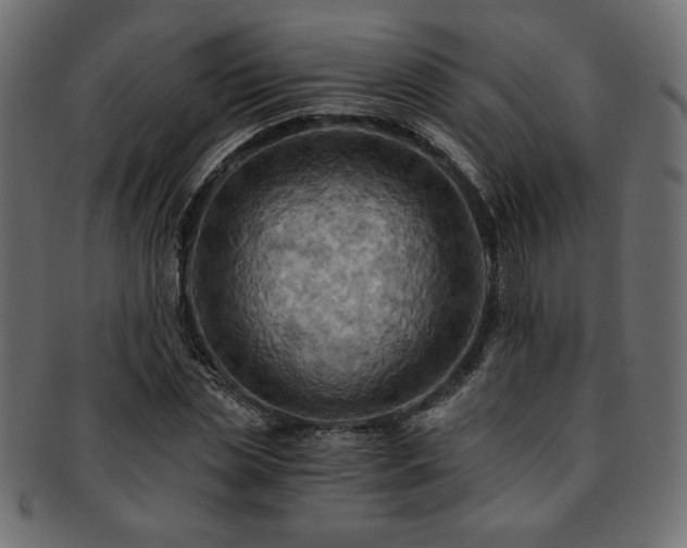 X0000093240829200710031600
