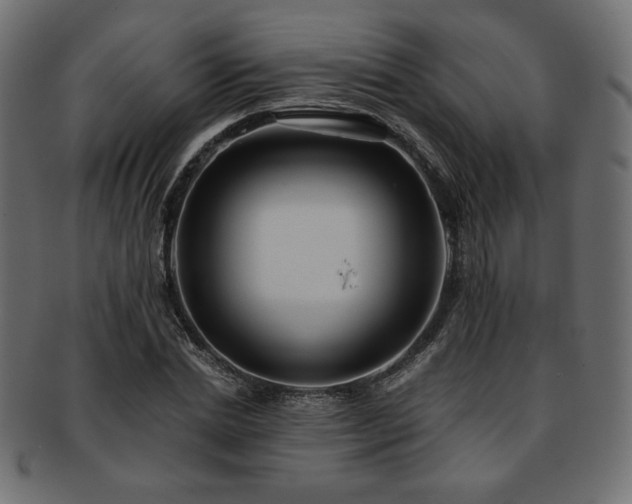 X0000093240830200710031600