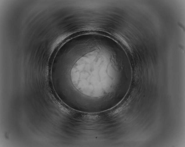 X0000093240831200710031600