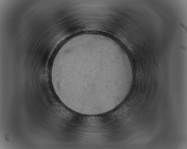 X0000093240832200710031600